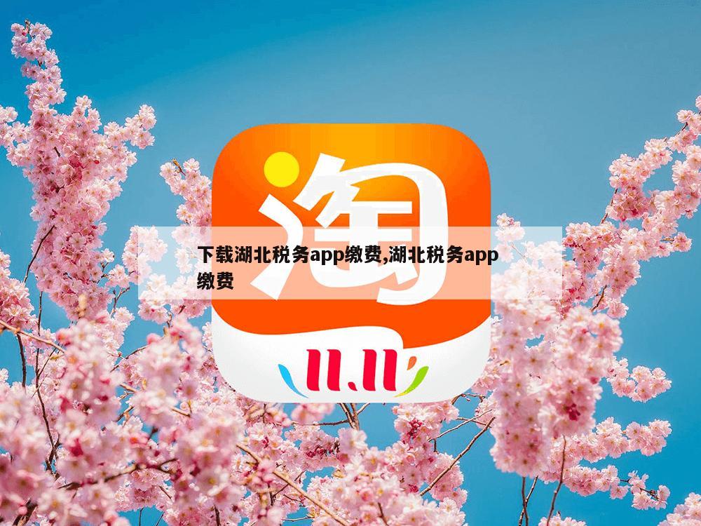 下载湖北税务app缴费,湖北税务app 缴费