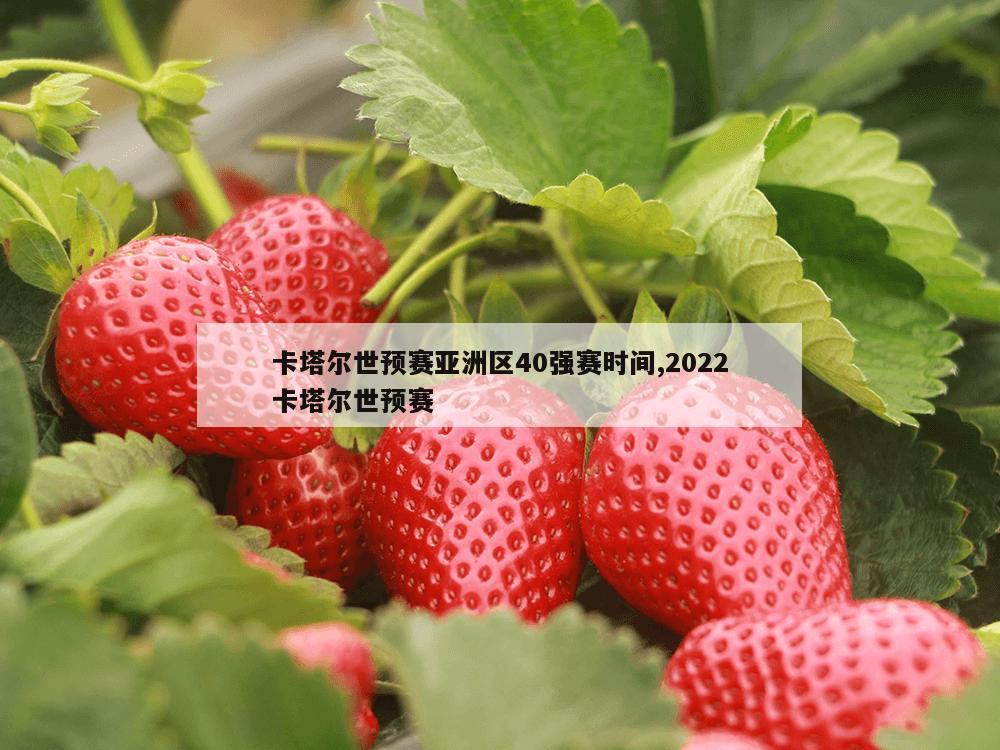 卡塔尔世预赛亚洲区40强赛时间,2022卡塔尔世预赛