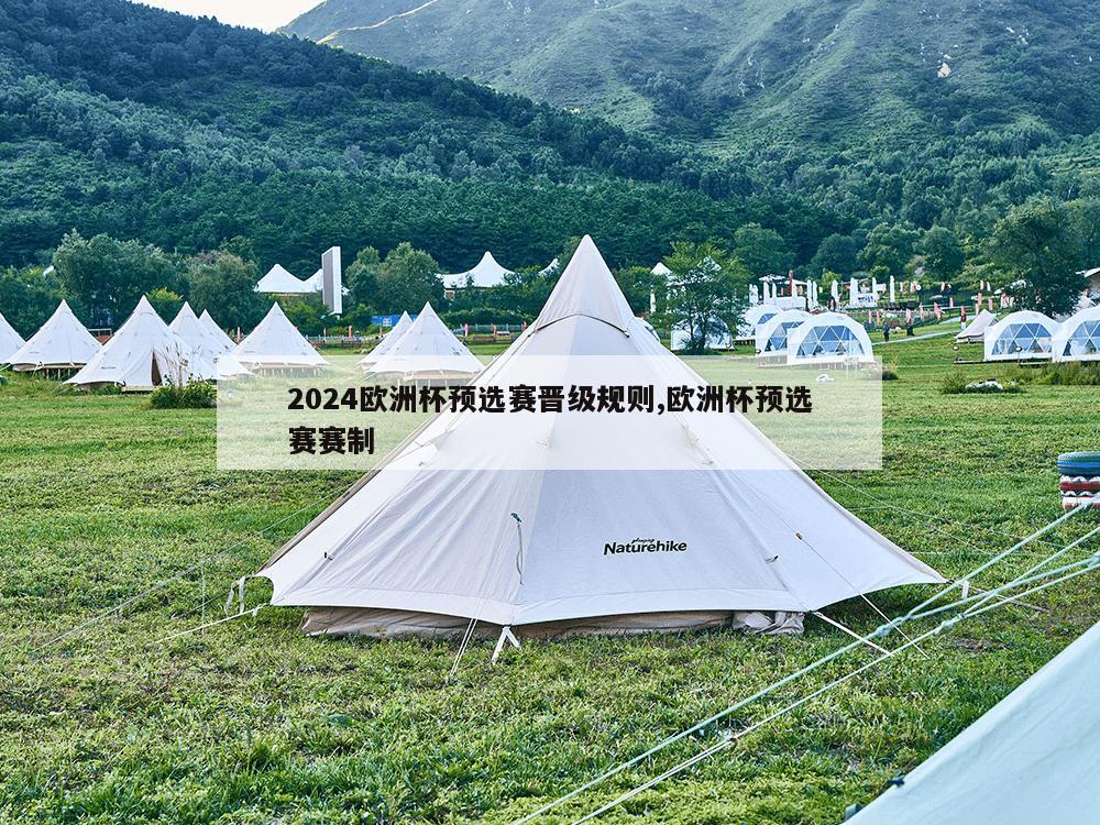 2024欧洲杯预选赛晋级规则,欧洲杯预选赛赛制