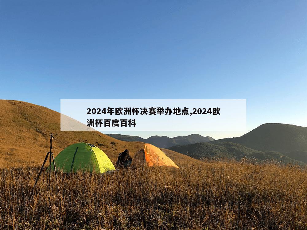 2024年欧洲杯决赛举办地点,2024欧洲杯百度百科