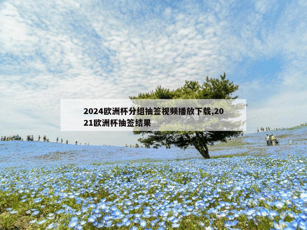 2024欧洲杯分组抽签视频播放下载,2021欧洲杯抽签结果