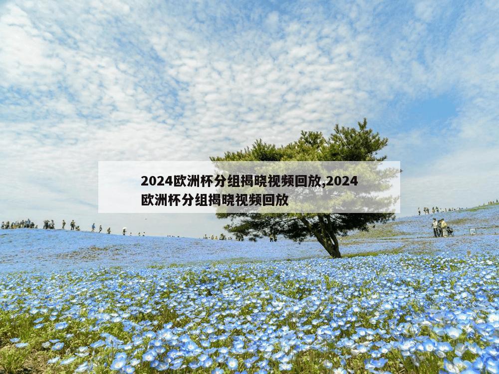 2024欧洲杯分组揭晓视频回放,2024欧洲杯分组揭晓视频回放