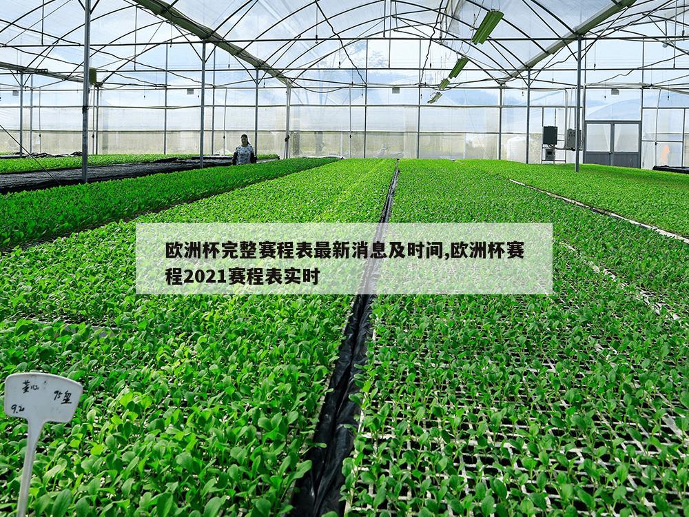 欧洲杯完整赛程表最新消息及时间,欧洲杯赛程2021赛程表实时