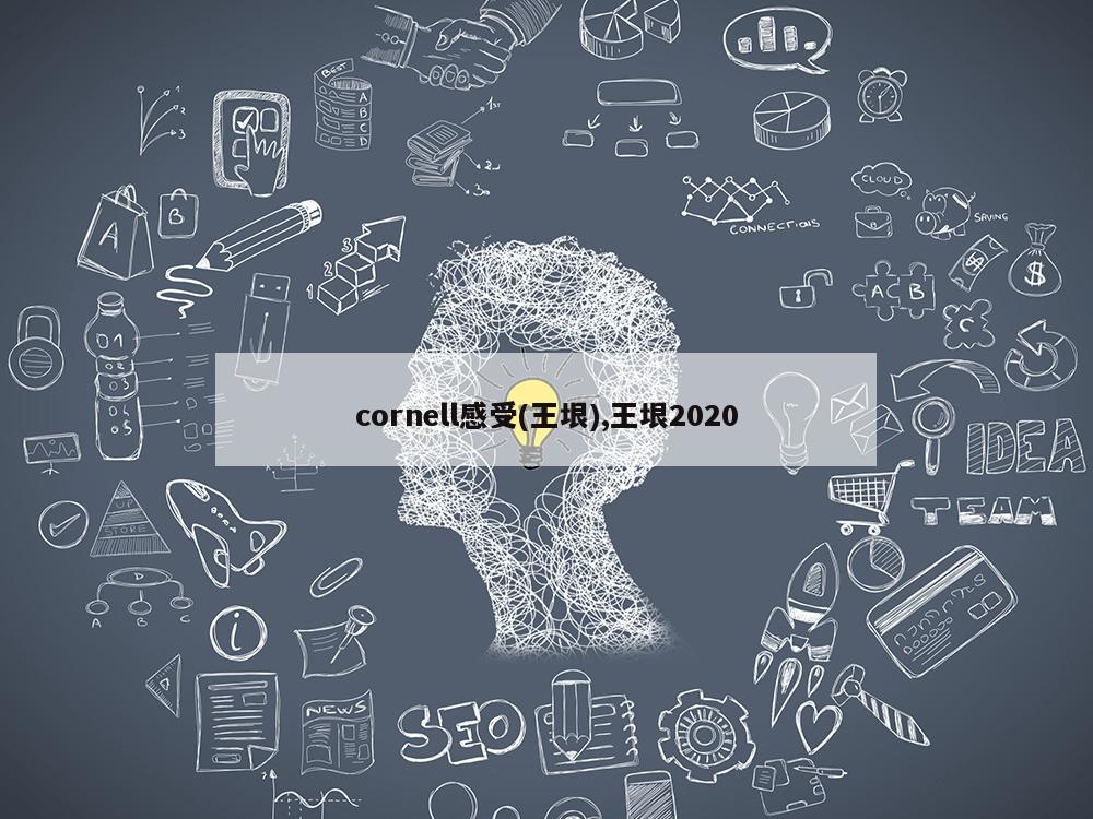 cornell感受(王垠),王垠2020