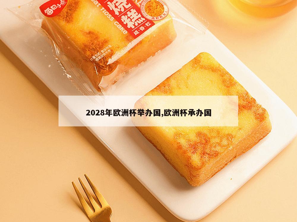 2028年欧洲杯举办国,欧洲杯承办国