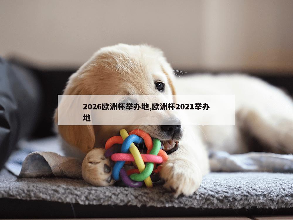 2026欧洲杯举办地,欧洲杯2021举办地