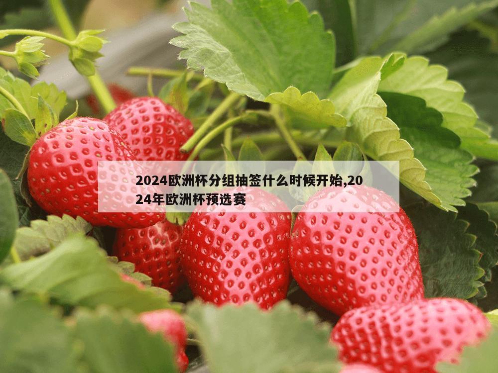 2024欧洲杯分组抽签什么时候开始,2024年欧洲杯预选赛